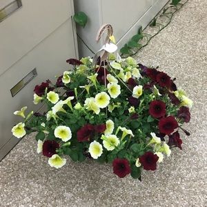 Meet your Posher, Earlene